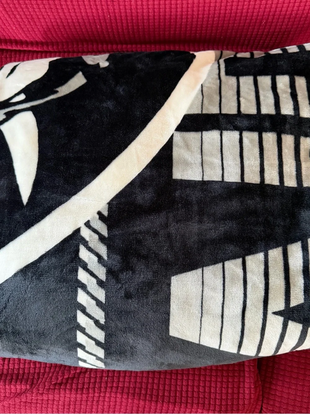 Las Vegas Raiders Black & White Plush Throw Blanket
